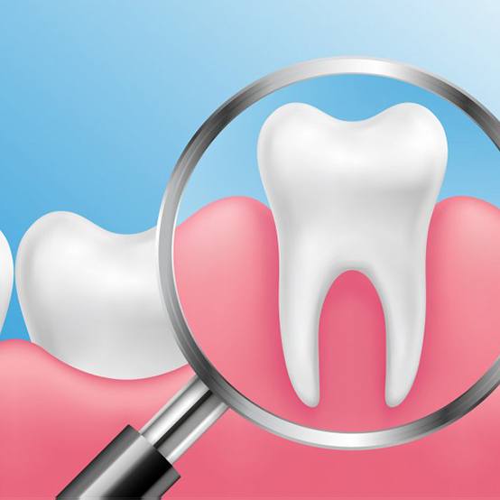 Magnifying glass inspecting a tooth
